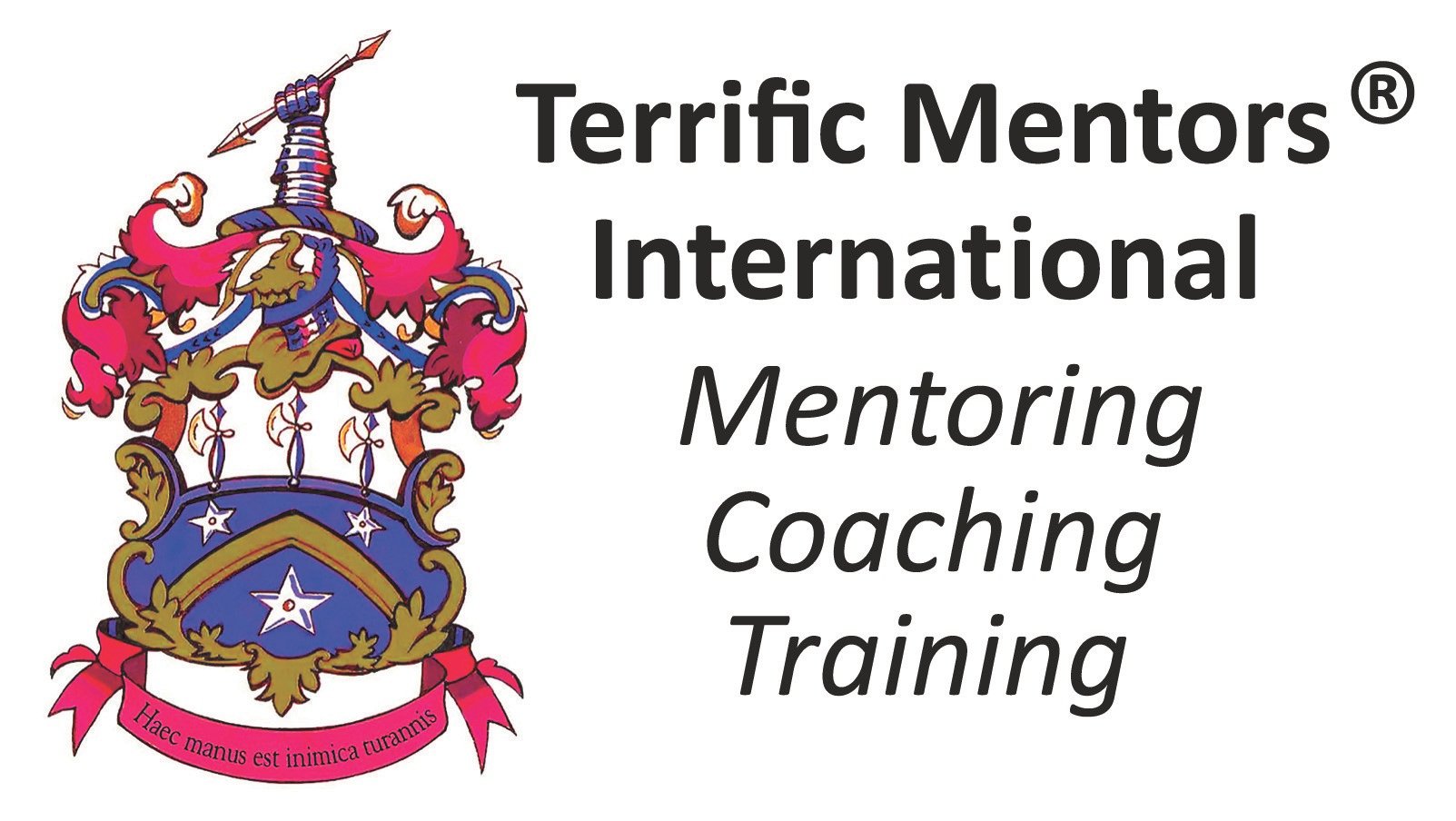 logo-terifficmentors