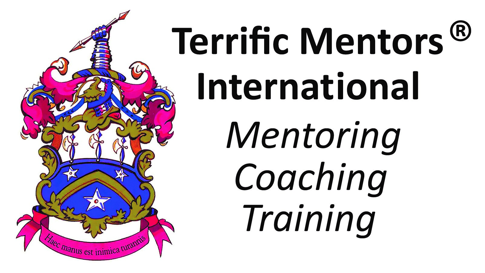 logo-terifficmentors